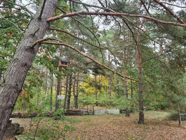 Forest Property with House near the Havel
