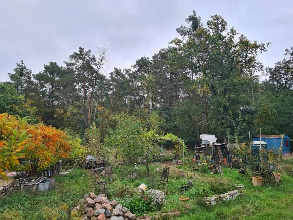 Forest Property with House near the Havel — photo 2