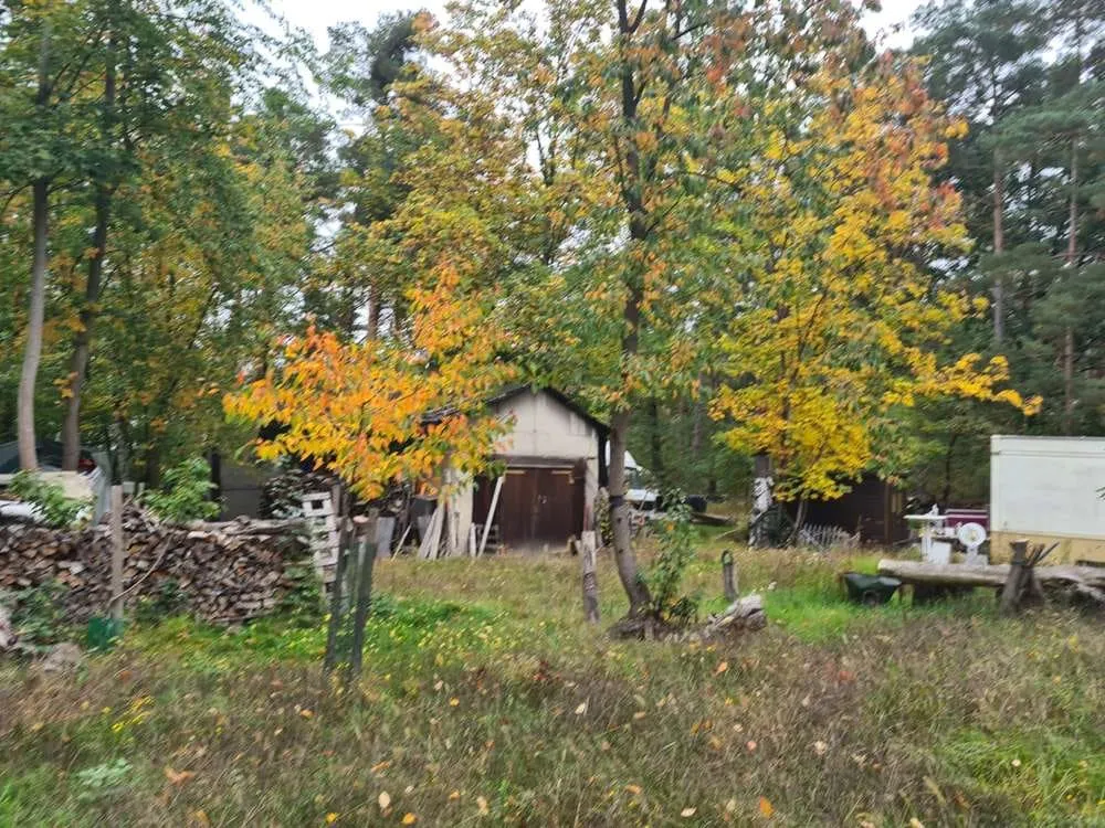 Forest Property with House near the Havel — photo 3