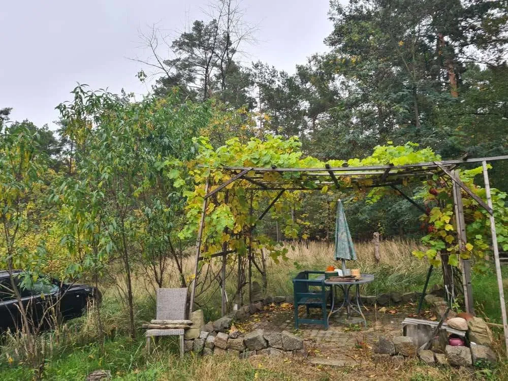 Forest Property with House near the Havel — photo 4